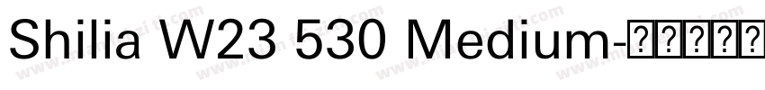 Shilia W23 530 Medium字体转换